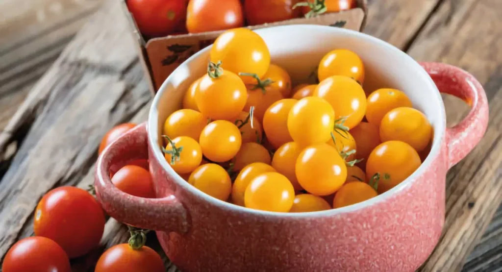 pomodoro giallo blog