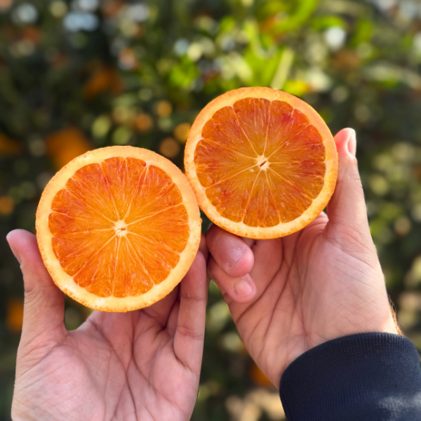 Arance Tarocco Siciliane Bio - 8 kg