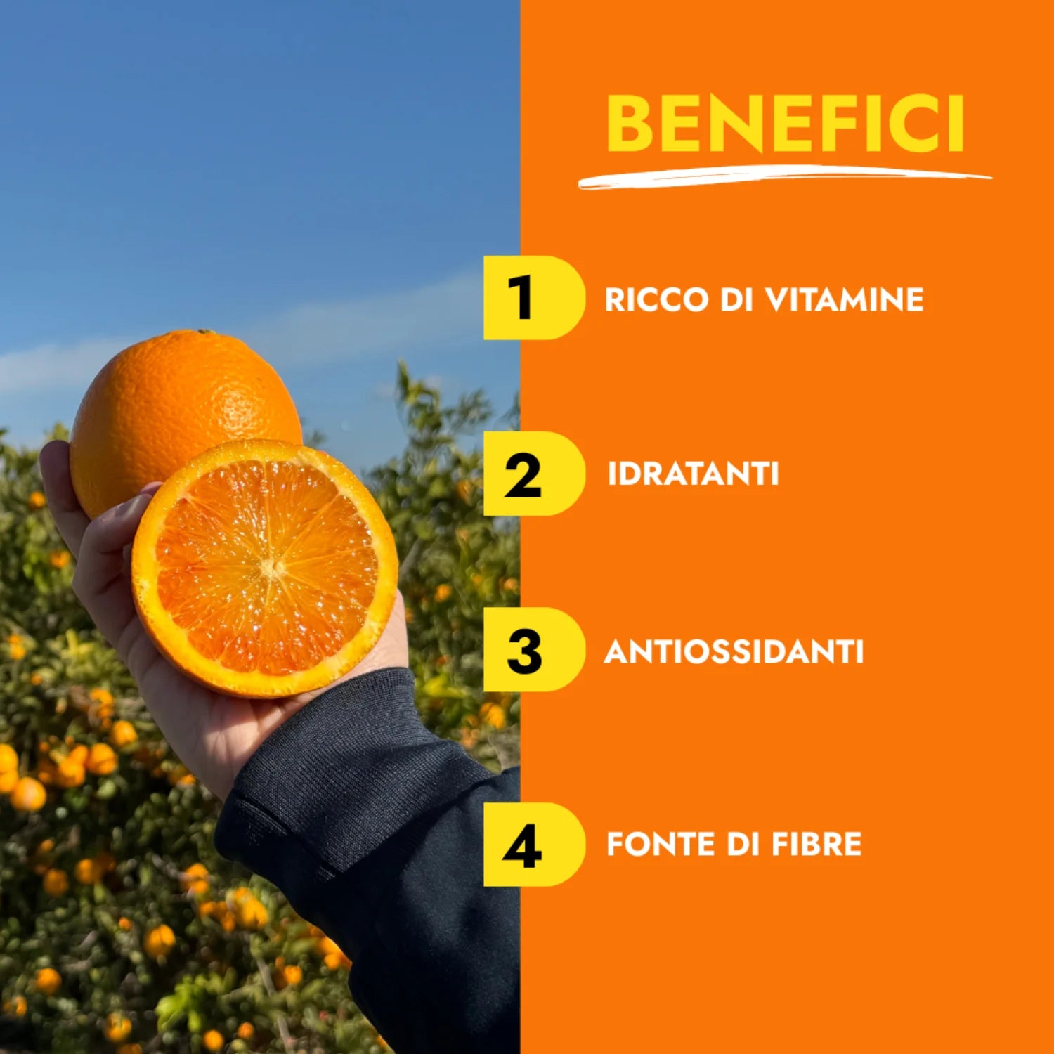 arance tarocco lista benefici