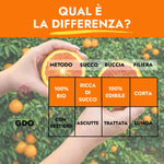 differenza tra arance tarocco gdo e racilia