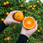 arance tarocco spremuta vs tavola