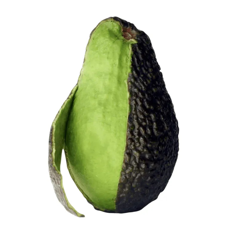 Avocado Hass Siciliano Biologico