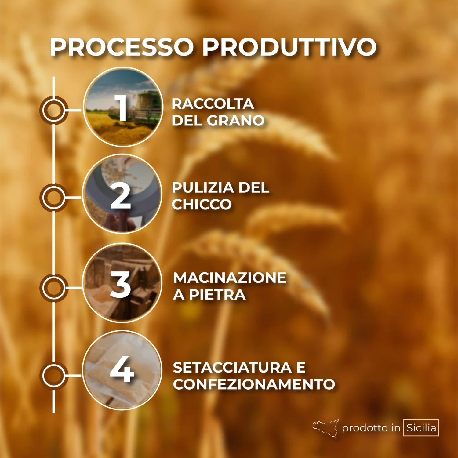 farina di timilia bio processo produttivo