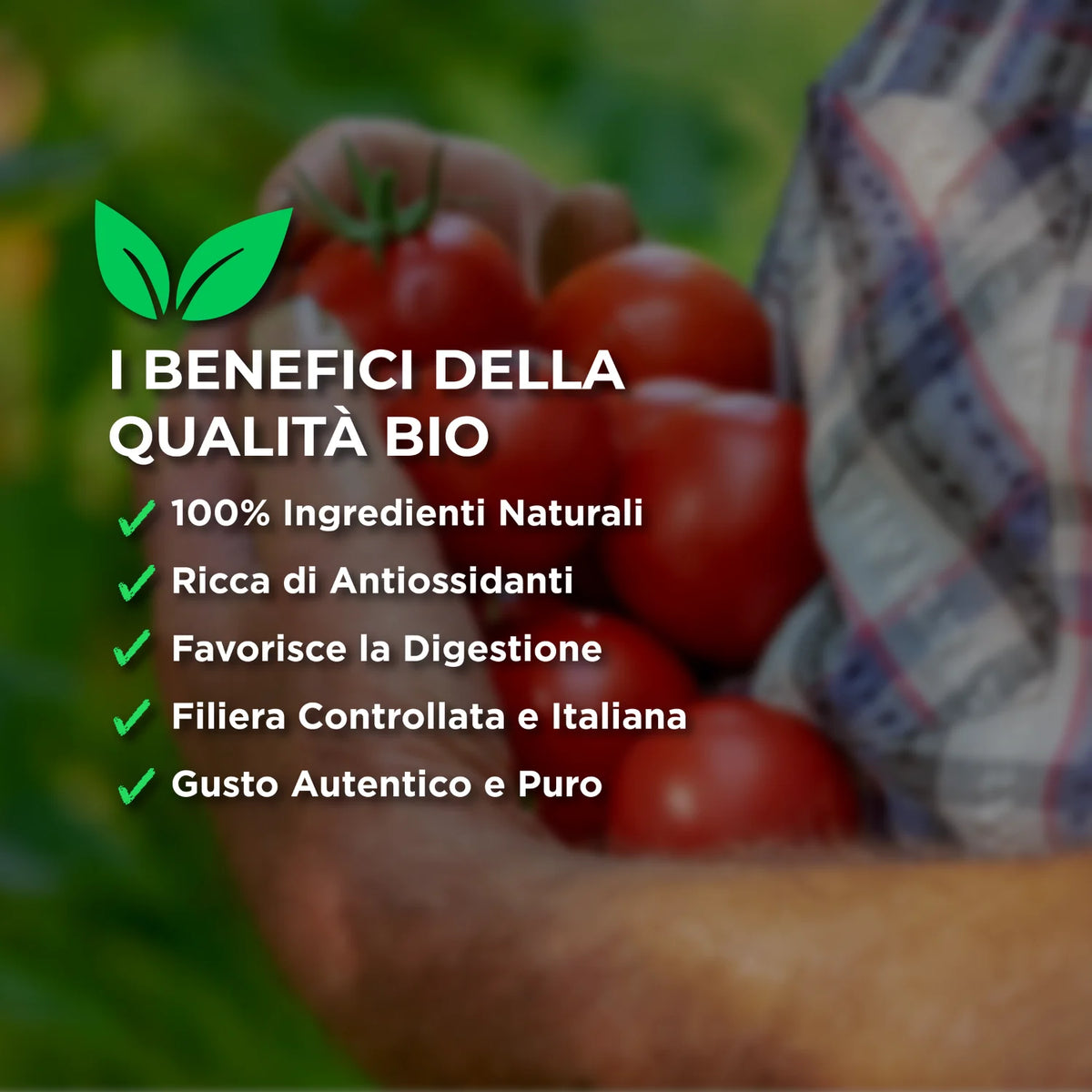 benefici della passata di pomodoro