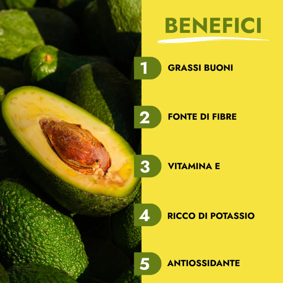 avocado hass lista benefici
