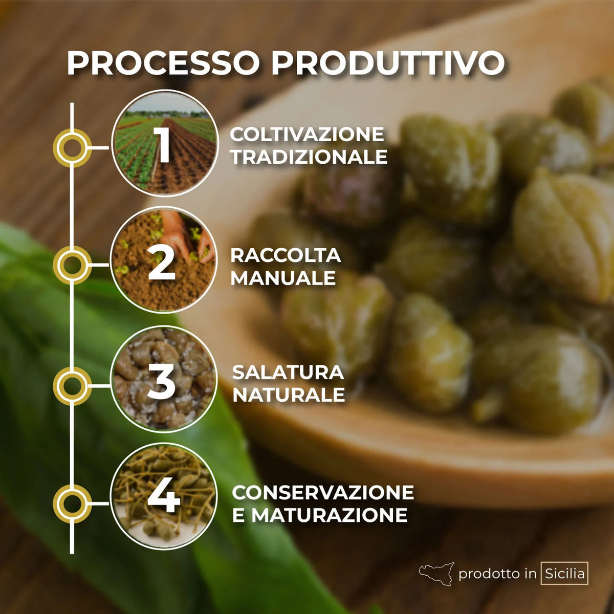 processo produttivo capperi dop sale marino