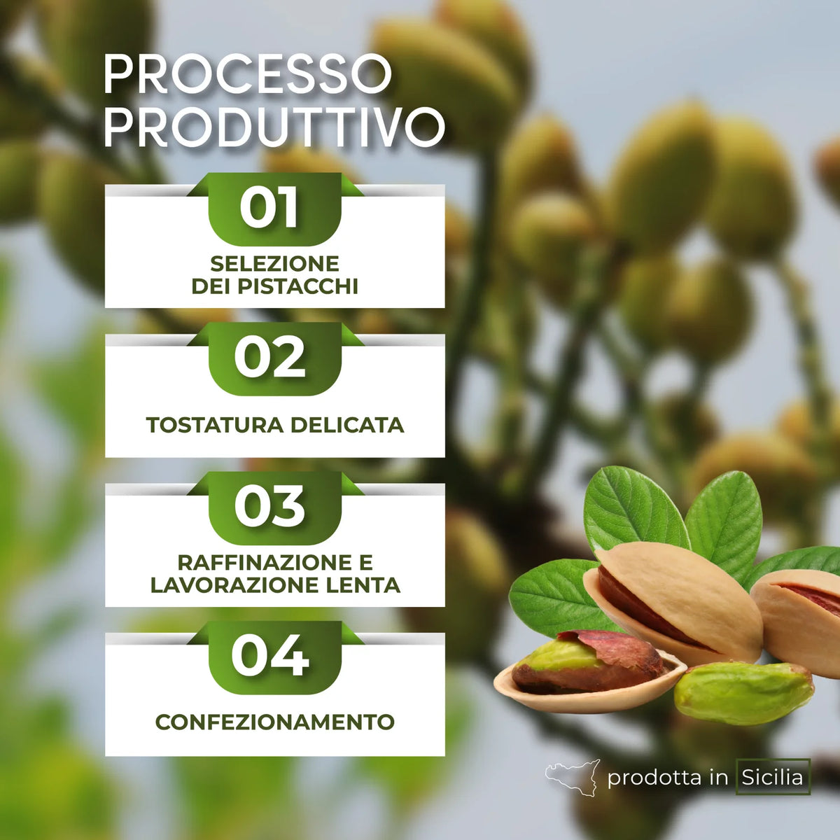 fasi del processo produttivo crema spalmabile pistacchio