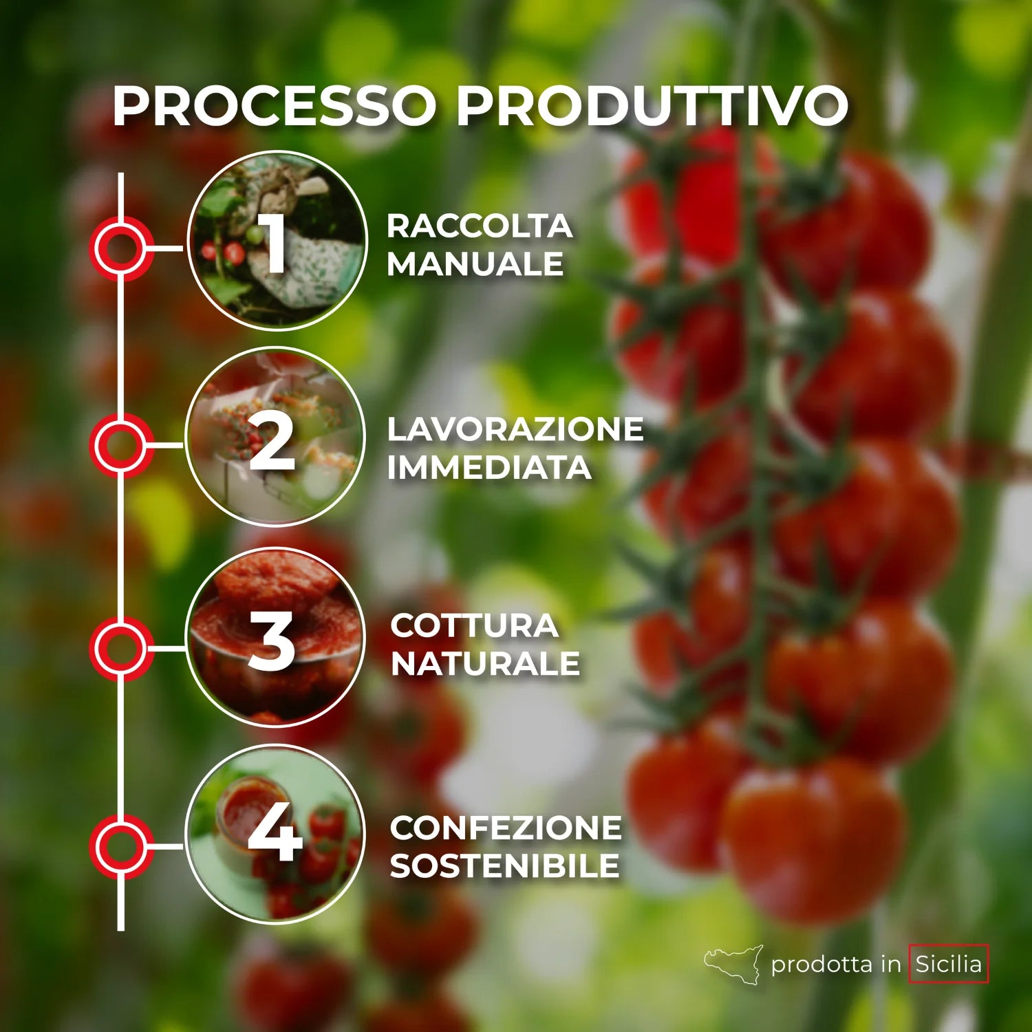 passata di pomodoro processo produttivo