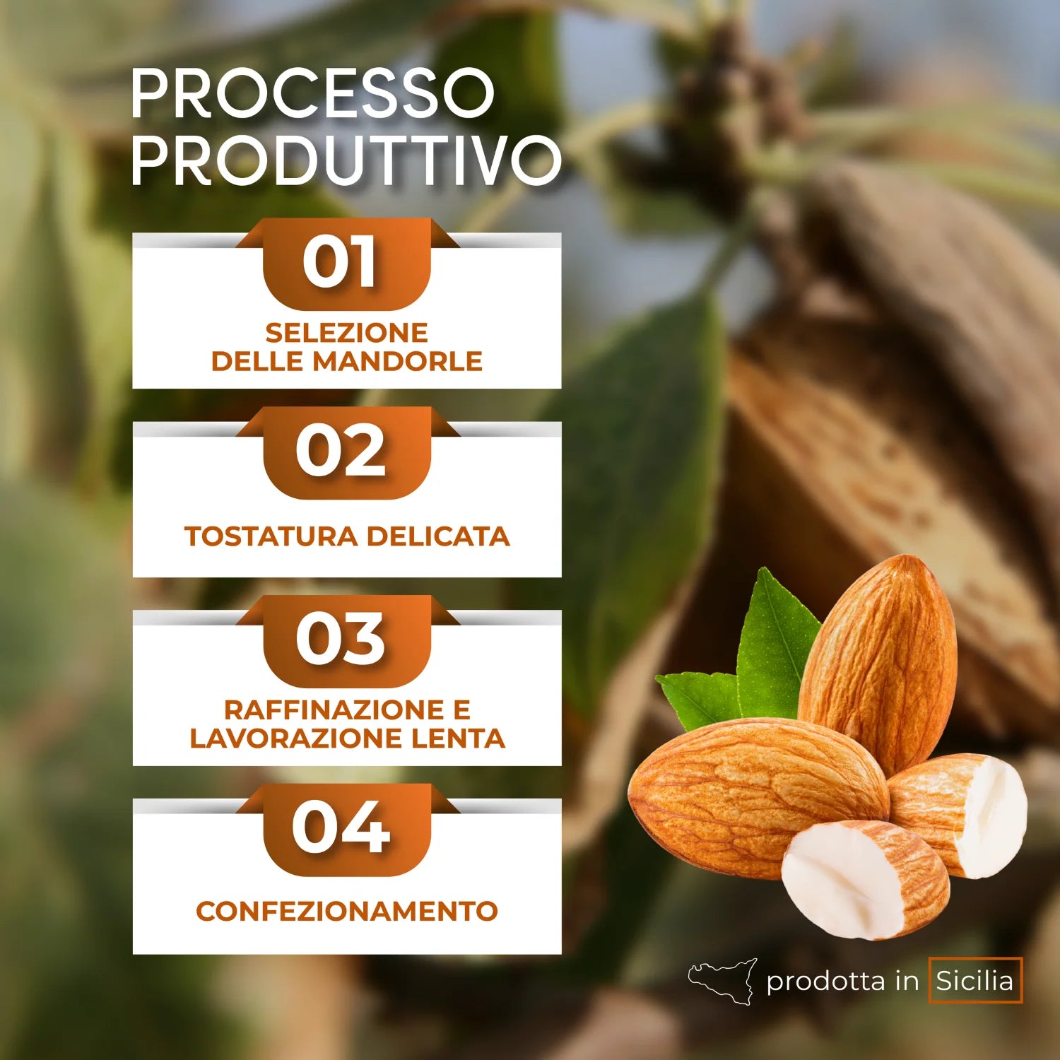 crema spalmabile di mandorle processo produttivo