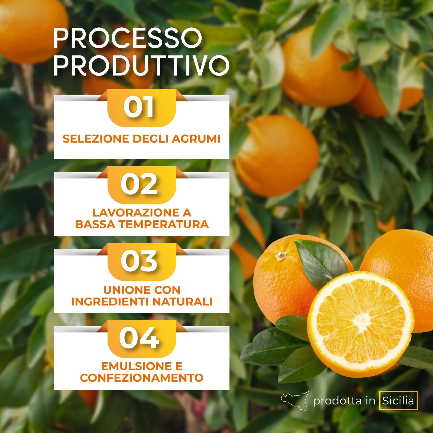 processo produttivo crema spalmabile arancia