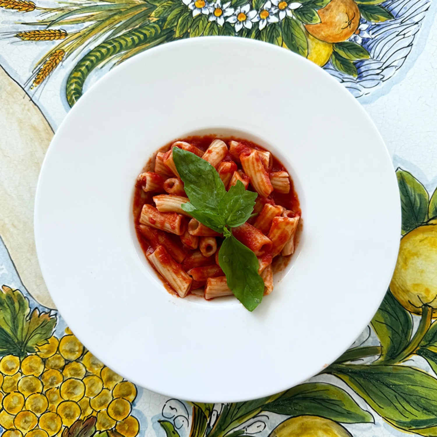 piatto di pasta rigatoni di timilia bio con salsa di pomodoro